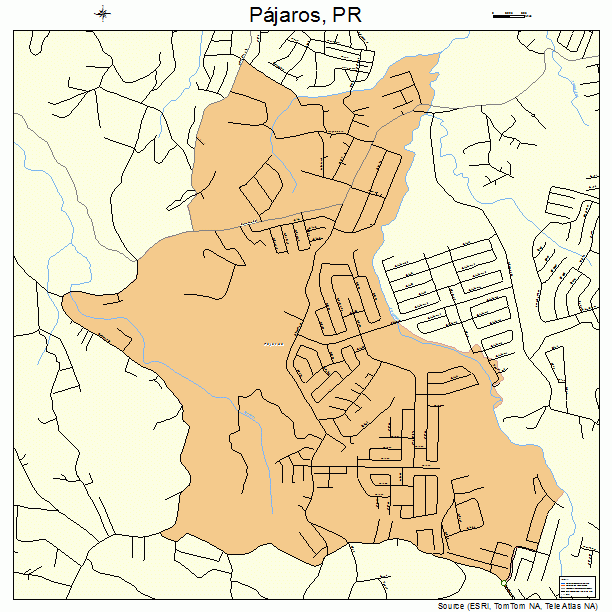 Pajaros, PR street map