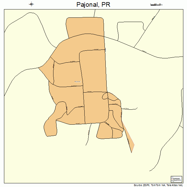 Pajonal, PR street map