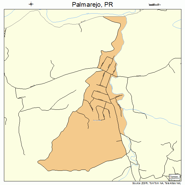 Palmarejo, PR street map