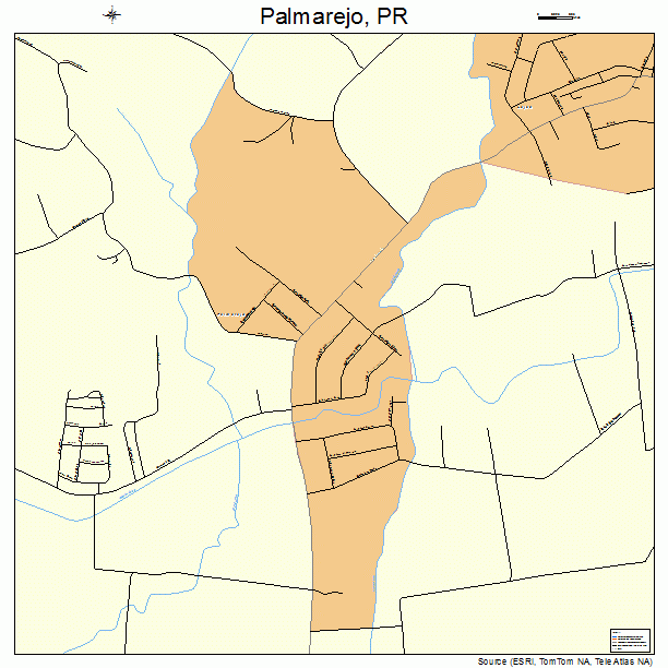 Palmarejo, PR street map