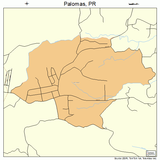 Palomas, PR street map