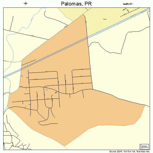Palomas, PR street map