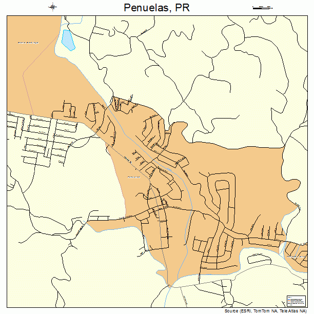 Penuelas, PR street map