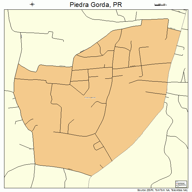 Piedra Gorda, PR street map