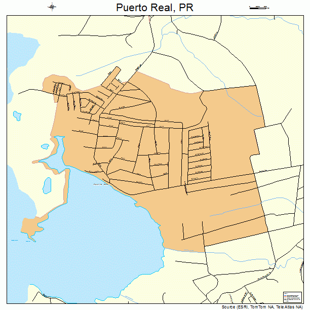 Puerto Real, PR street map