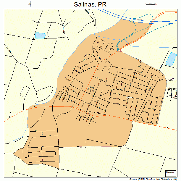 Salinas, PR street map