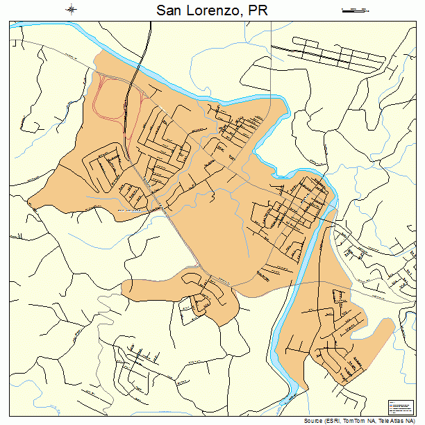 San Lorenzo, PR street map