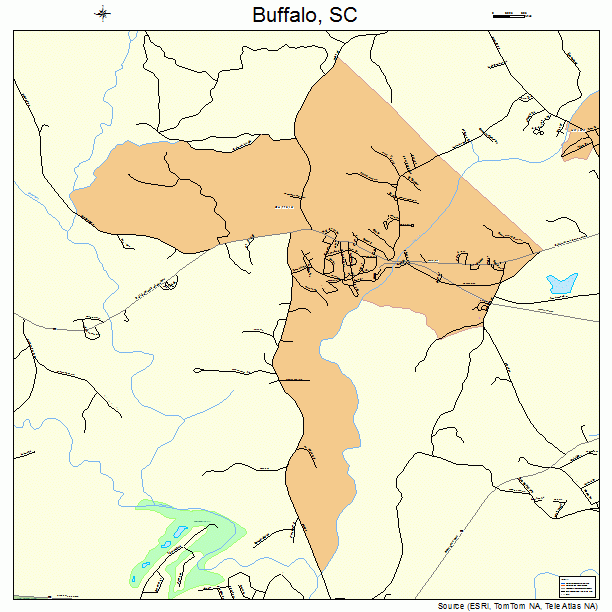 Buffalo, SC street map