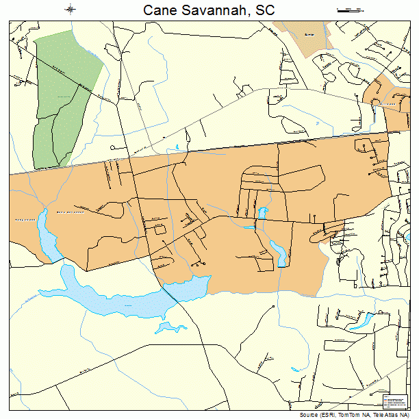 Cane Savannah, SC street map
