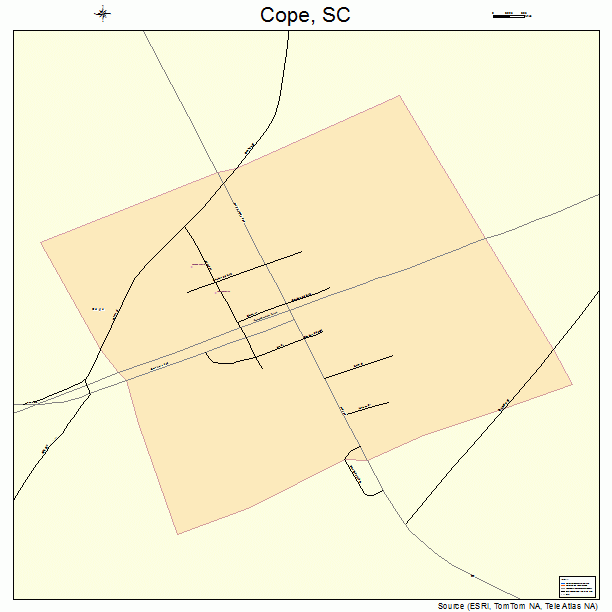 Cope, SC street map