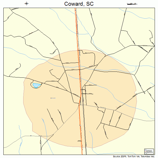 Coward, SC street map