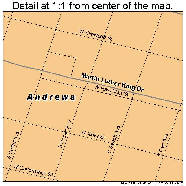 Andrews, South Carolina road map detail