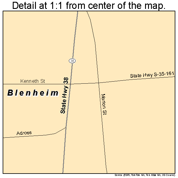 Blenheim, South Carolina road map detail