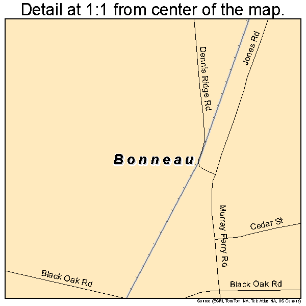 Bonneau, South Carolina road map detail