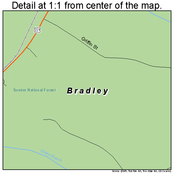 Bradley, South Carolina road map detail