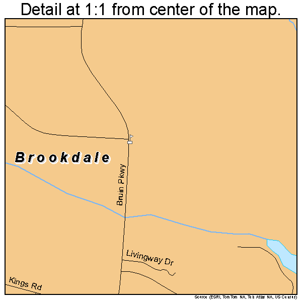 Brookdale, South Carolina road map detail