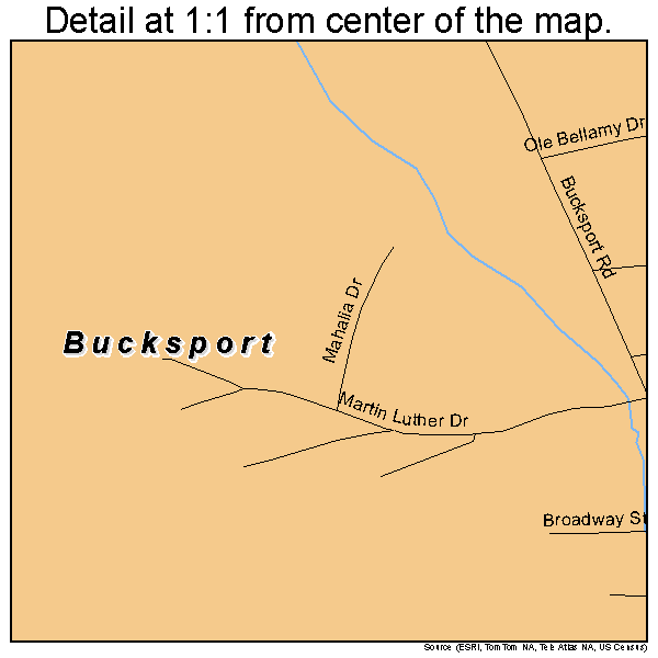 Bucksport, South Carolina road map detail