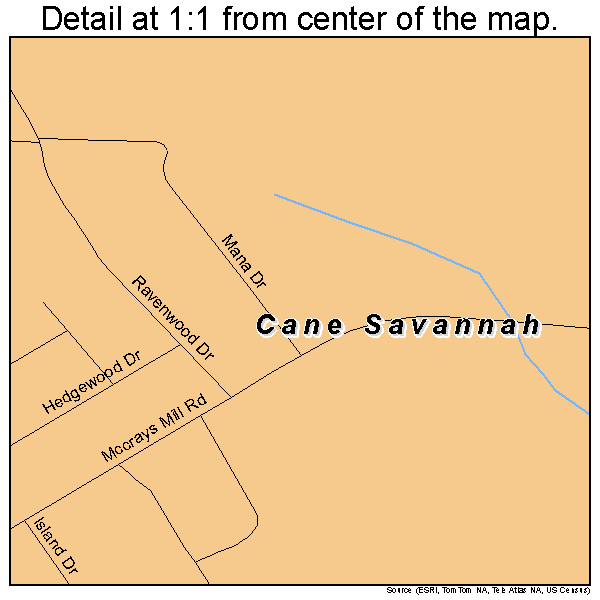 Cane Savannah, South Carolina road map detail