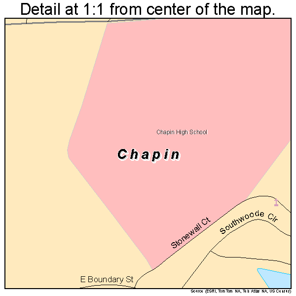 Chapin, South Carolina road map detail