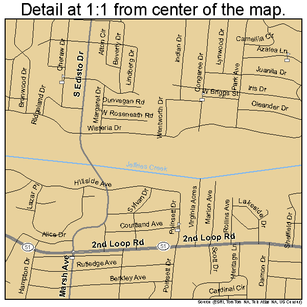 Florence, South Carolina road map detail