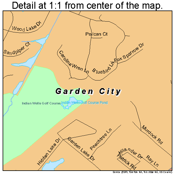 Garden City, South Carolina road map detail
