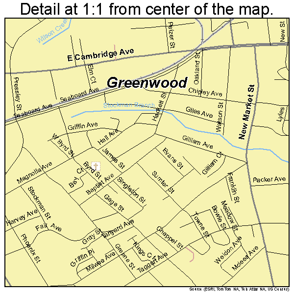 Greenwood, South Carolina road map detail