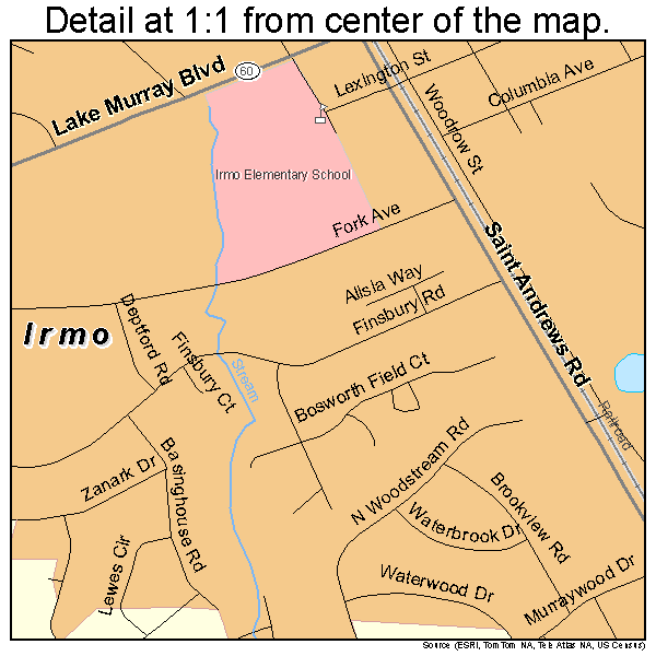 Irmo, South Carolina road map detail