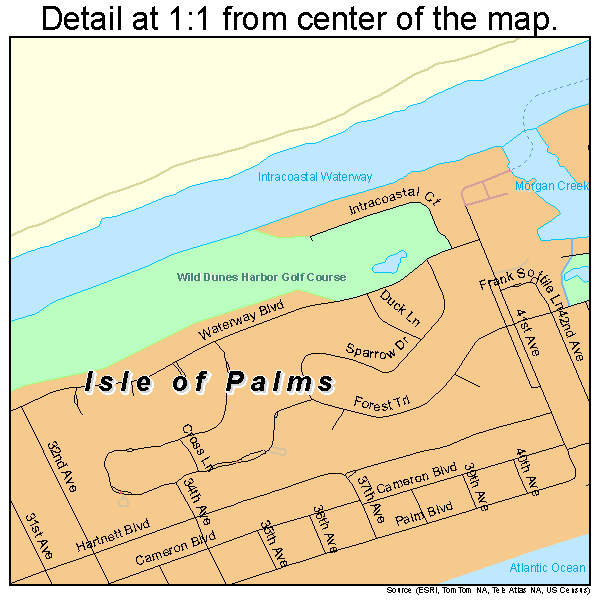 Isle of Palms, South Carolina road map detail