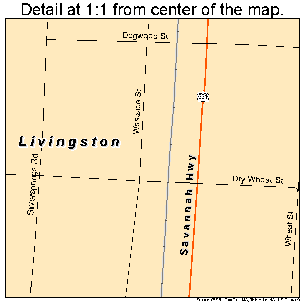 Livingston, South Carolina road map detail