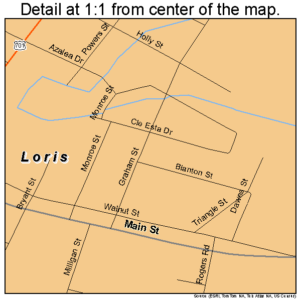 Loris, South Carolina road map detail