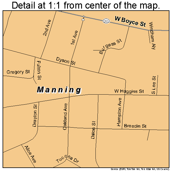 Manning, South Carolina road map detail