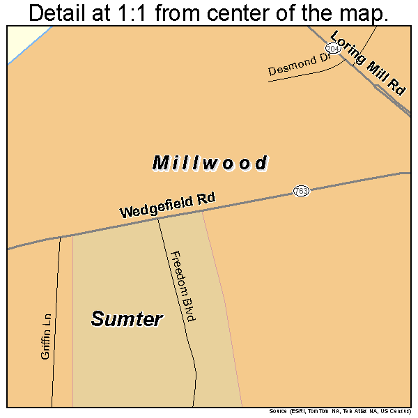 Millwood, South Carolina road map detail
