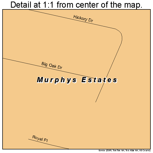 Murphys Estates, South Carolina road map detail