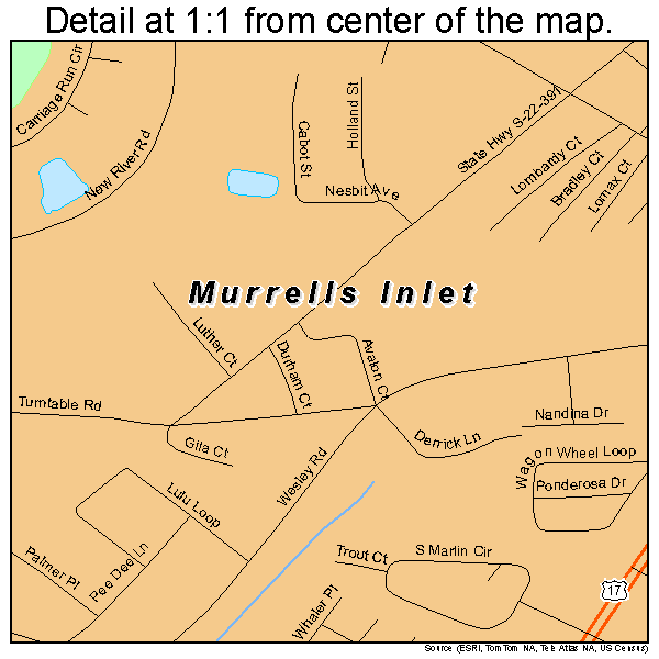 Murrells Inlet, South Carolina road map detail