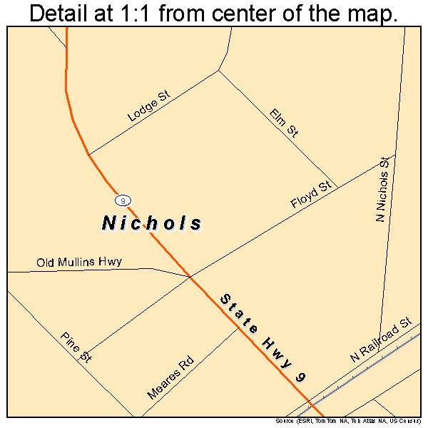 Nichols, South Carolina road map detail