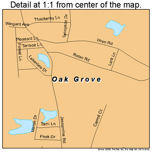 Oak Grove, South Carolina road map detail