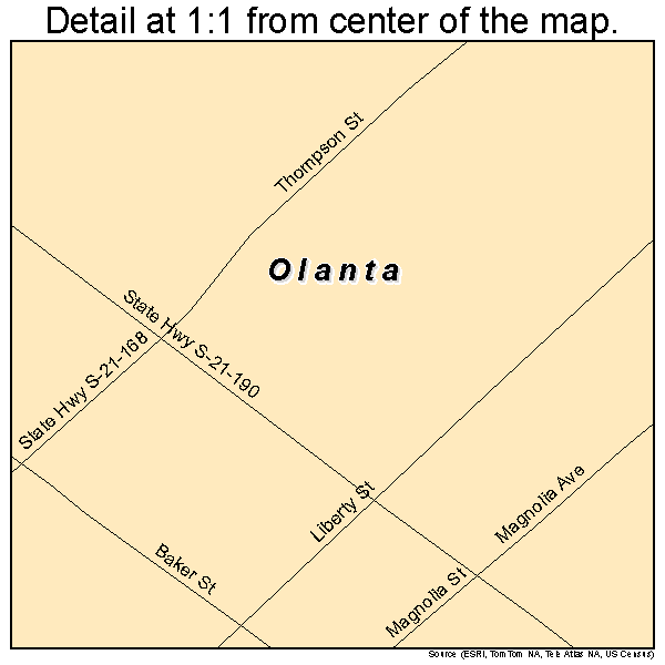 Olanta, South Carolina road map detail