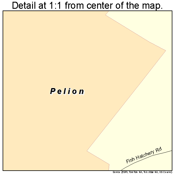 Pelion, South Carolina road map detail