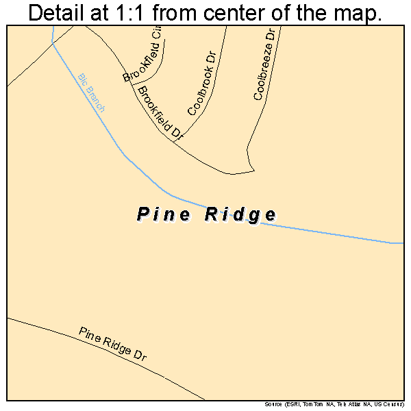 Pine Ridge, South Carolina road map detail