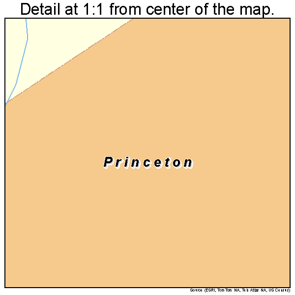 Princeton, South Carolina road map detail