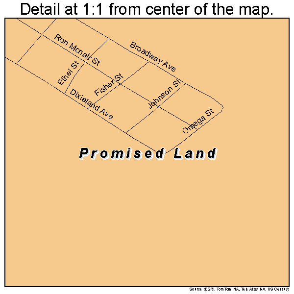 Promised Land, South Carolina road map detail
