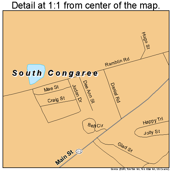 South Congaree, South Carolina road map detail
