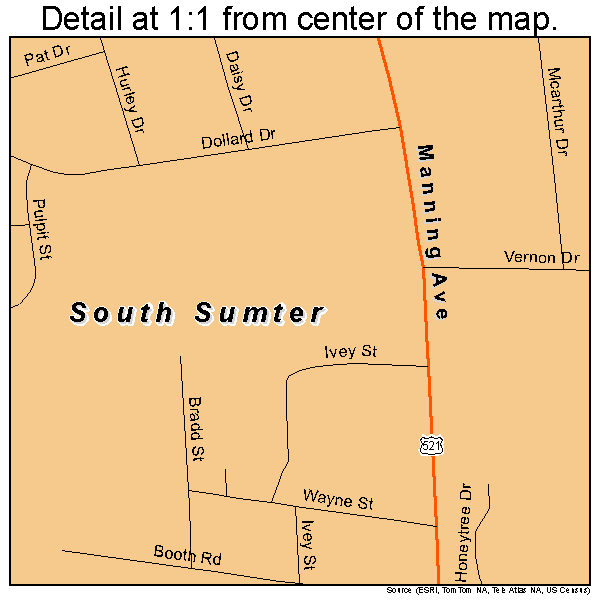 South Sumter, South Carolina road map detail