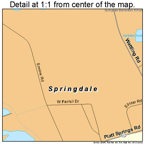Springdale, South Carolina road map detail