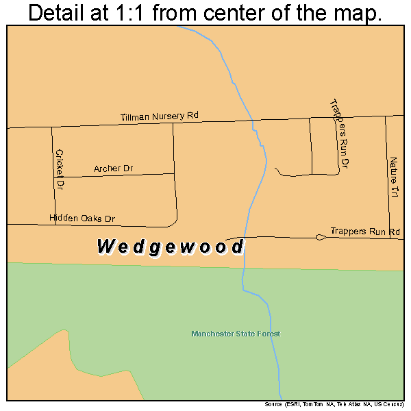 Wedgewood, South Carolina road map detail