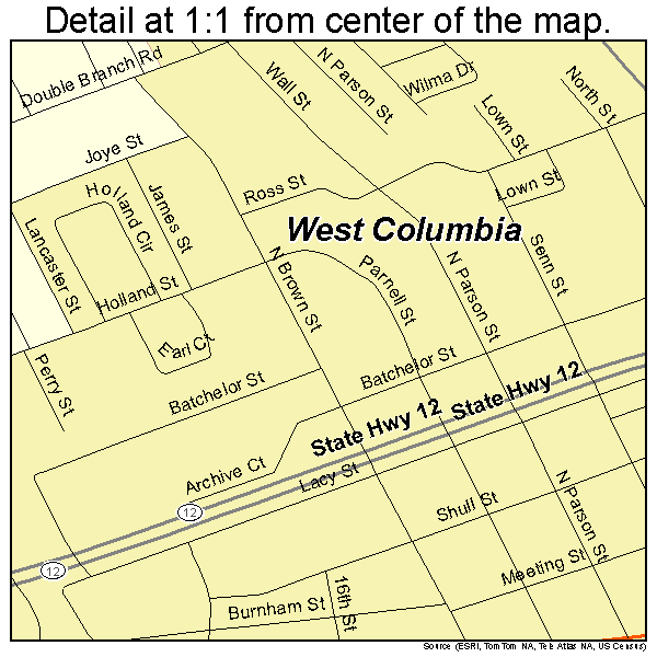 West Columbia, South Carolina road map detail