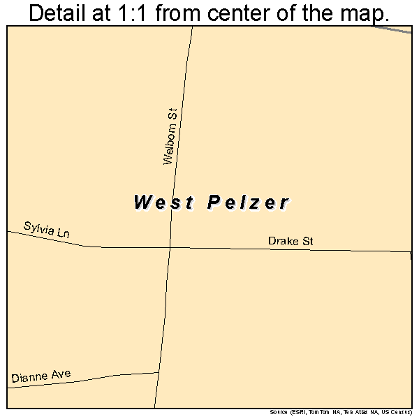 West Pelzer, South Carolina road map detail