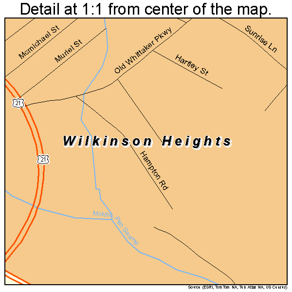 Wilkinson Heights, South Carolina road map detail