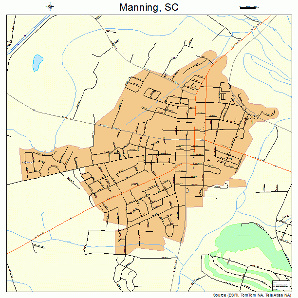 Manning, SC street map