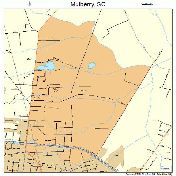Mulberry, SC street map